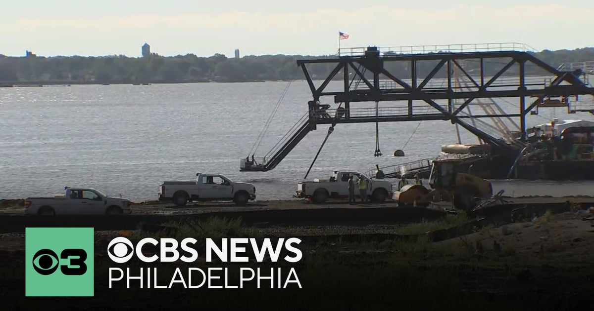 Delaware residents protest new container port being built in Edgemoor