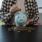 How much interest can a high-yield savings account earn over the next six months?