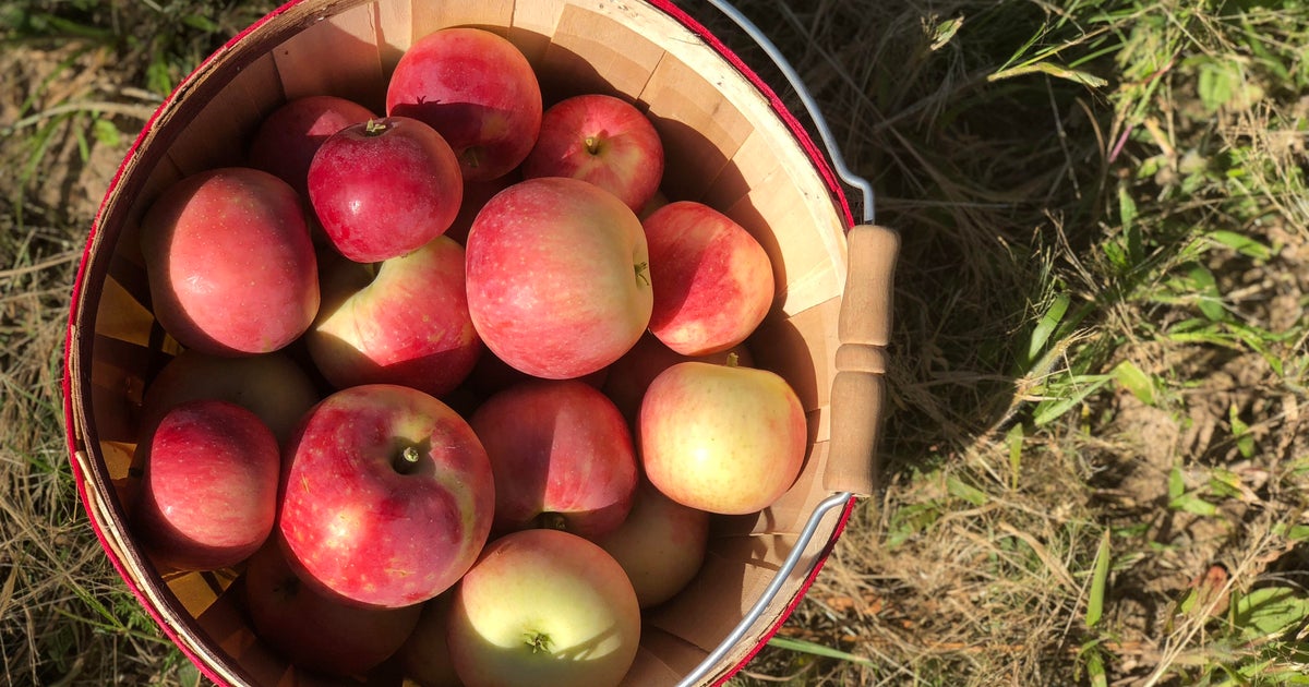 Red Apple Farm Ranked Among Best Apple Orchards in U.S.