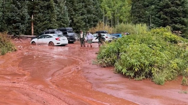mud3.jpg 