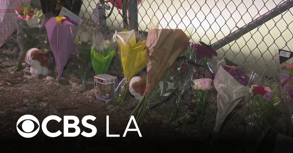 Federal investigators begin probing NBC Los Angeles helicopter crash that killed reporter Eliana Moreno, pilot George Marciniw; vigil grows for the two