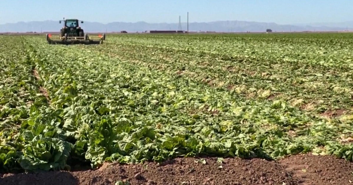 cbsnews.com - Jaimie  Dodge - Colorado lawmakers urged to fill gaps in food system, trace recall origins better