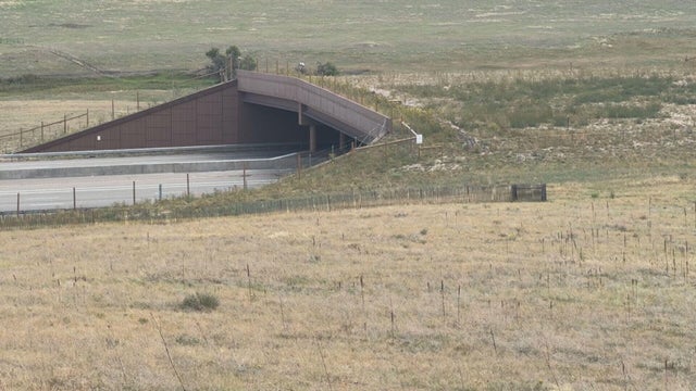 i-25-wildlife-overpass-10pkg-transfer-frame-840.jpg 
