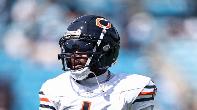 Chicago Bears v Carolina Panthers 