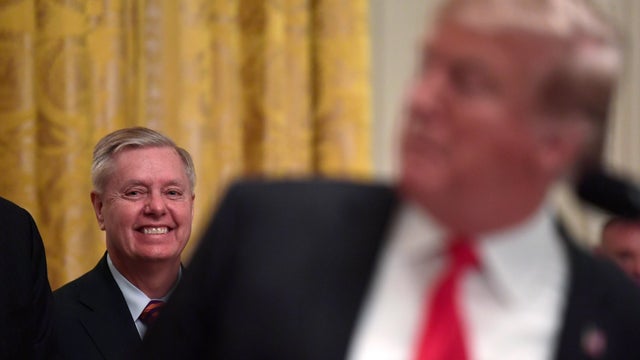 Donald Trump,Lindsey Graham 