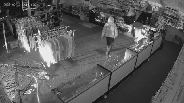 the-little-dog-burglary-10sotvo-transfer-frame-785.jpg 