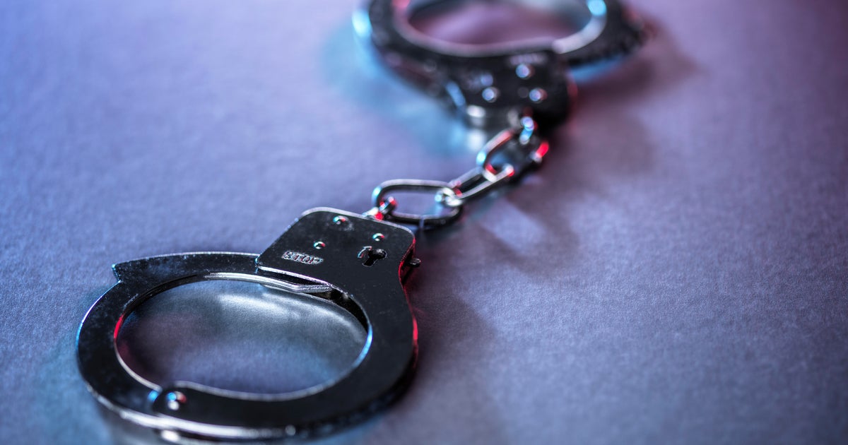 Florida woman arrested on felony charge after surveillance video shows sexual act with dog, deputies said