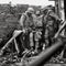 "Pictures to hurt you": A war photographer's final testament to Vietnam