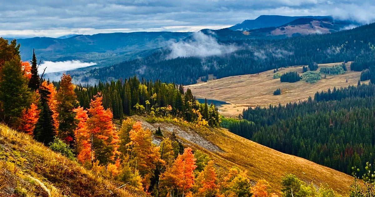 Colorado fall colors are taking off. Here's where to go this weekend.