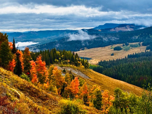 thumbnail-2000px.jpg