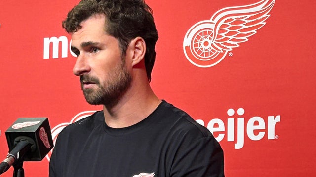 Red Wings Larkin Hockey 