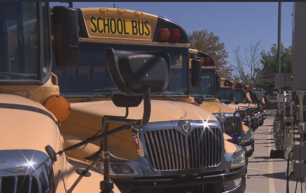 busses.png