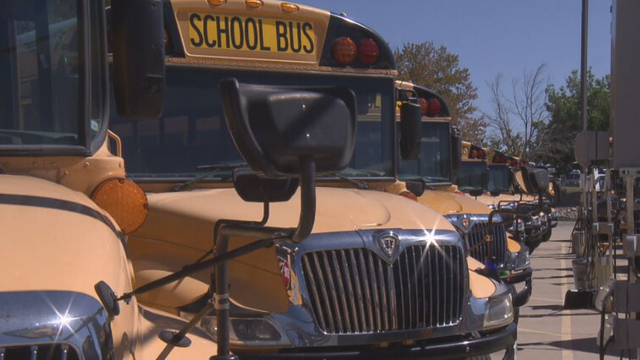 busses.png 