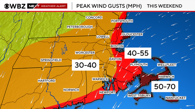 Nor'easter winds 