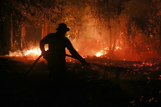 El Niño could cause 451,000 more heat-related deaths compared to normal year, group says. Map shows areas at risk. 3 Climate Heat Deaths El Nino