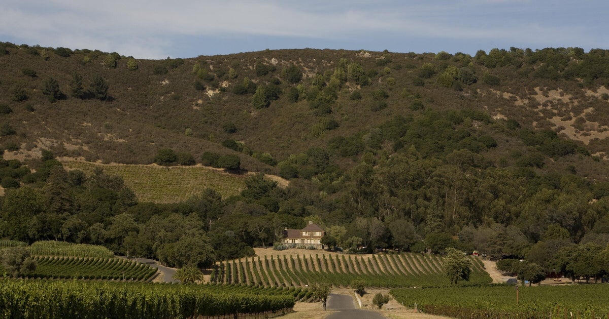 cbsnews.com - Carlos E. Castañeda - California's historic Gundlach Bundschu Winery, founded in 1858, files for Chapter 11 bankruptcy