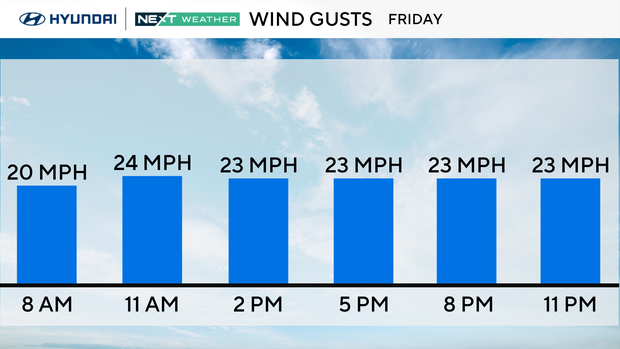 z-gusts-tom.png