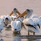 Nature: Poinsette State Park in South Dakota