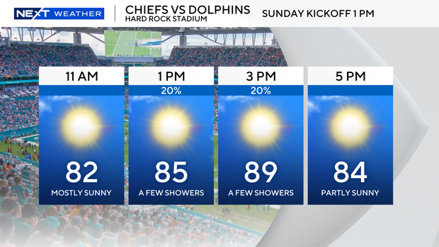 dolphins-home-game.png