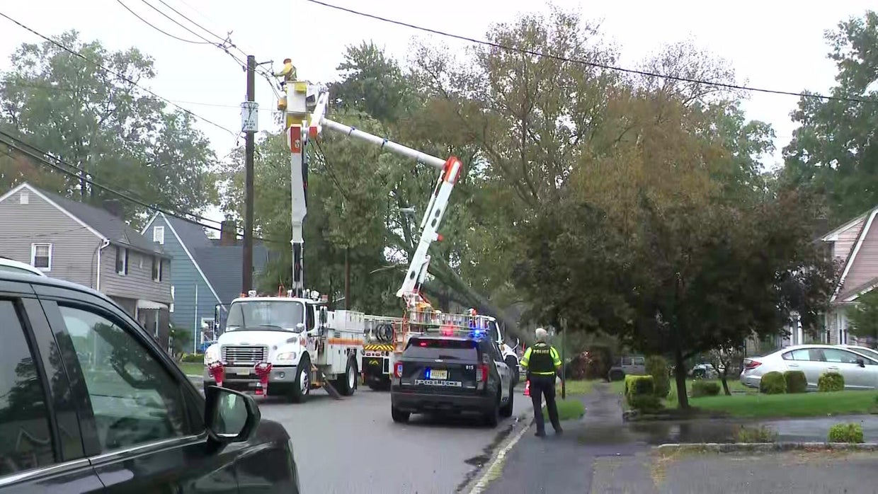 Nor'easter brings down trees, causes flooding in New York, New Jersey area