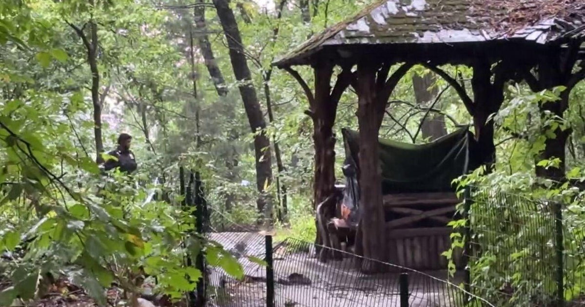 Man accused of killing artist living in NYC's Central Park to be ...