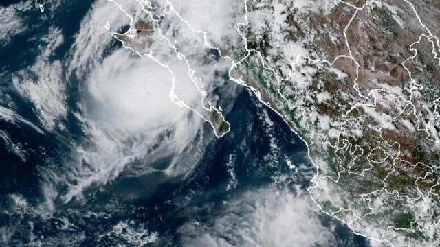 hurricane-polo.png 