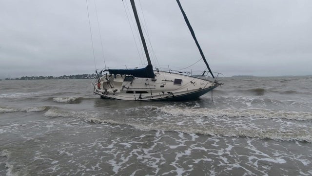 Boat Wollaston Beach 