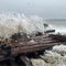 Possible 1884 shipwreck exposed by nor'easter on Nantucket