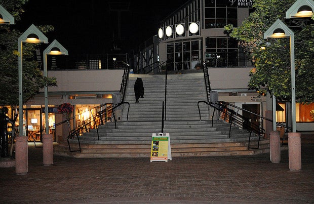 BEAR21-- A black bear makes its way up the stars toward a chair lift in downtown Aspen. Black bears are in high number in the town of Aspen as they hunt for food in resident's trash. The bear are keeping local police busy with dozens of calls each night. 