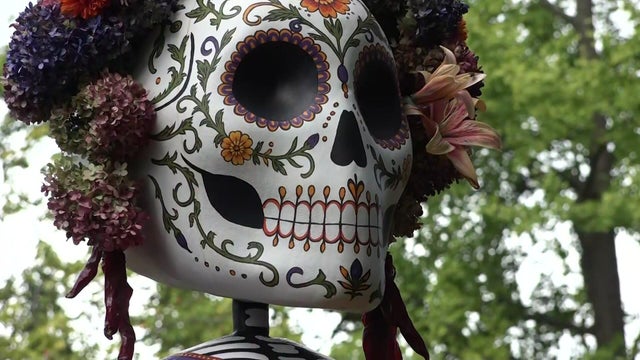 tz1-day-of-dead-nybg-wcbsj6rp-hi-res-still.jpg 