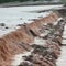 Flash flooding in Southwest, overwhelming New Mexico dam on brink of failing