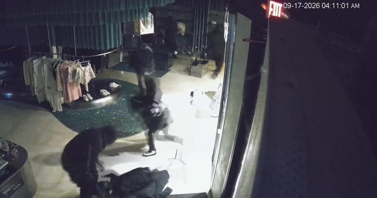 Detroit-area business temporarily closes after theft