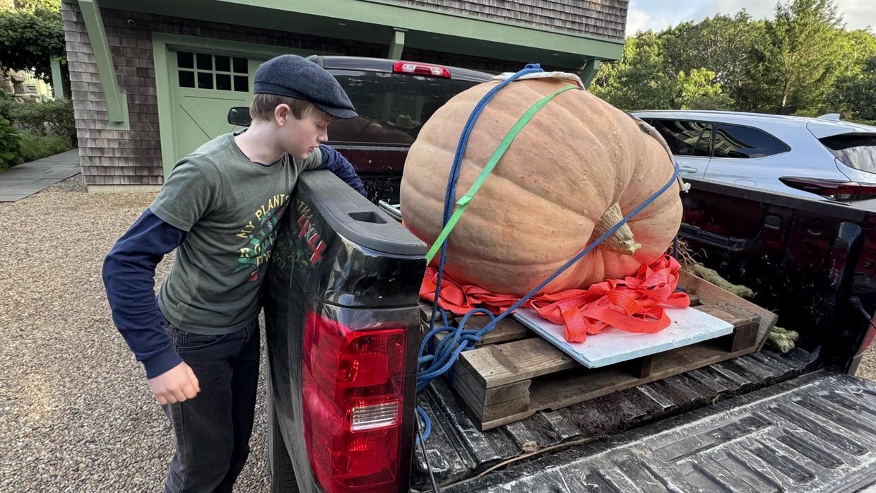 13-year-old Massachusetts boy grows pumpkins weighing hundreds of ...