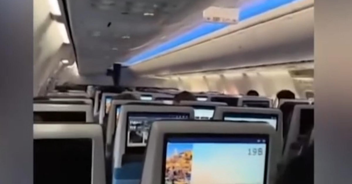 Latest on Flydubai flight to Israel where passenger says "co-pilot tried to murder pilot"