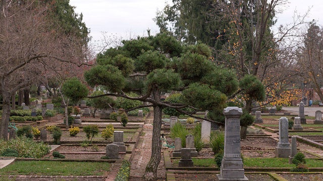 View of Sacramento California Old City Cemetery 