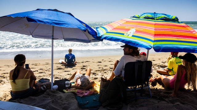 Lexus Trestles Pro 
