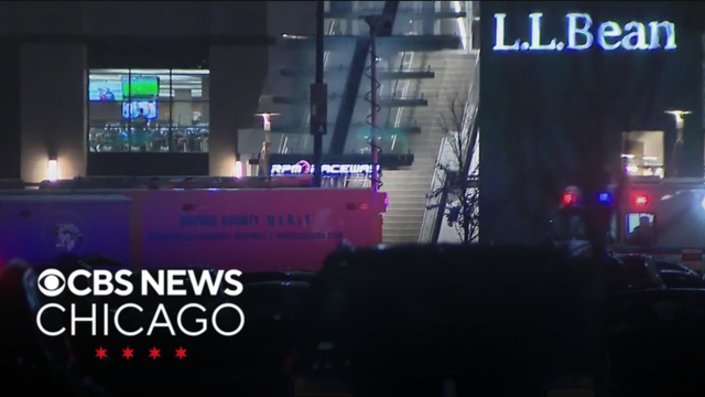 Oakbrook Center mall shooting leaves 1 dead, another hurt