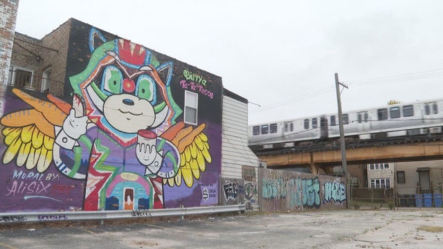 alix-raccoon-murals.jpg 