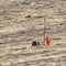 Whale sinks yacht in South Pacific, sailors rescued alive 18 hours later