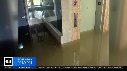 Miami Beach condo residents endure days without power, hot water as king tides flood garages