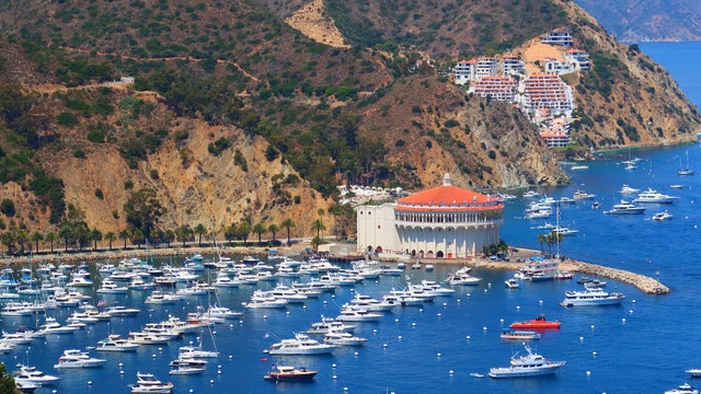 Catalina Casino 