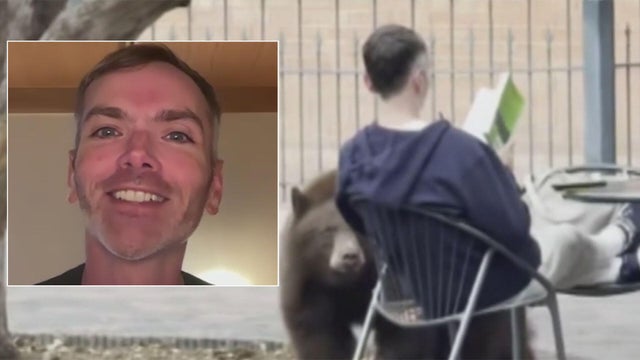 Man who calmly read his book when bear sniffed him tells all