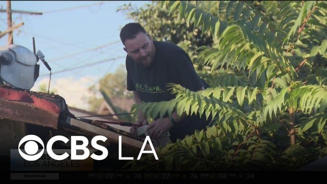 Santa Ana man who made up venomous snake story could be cited, police say