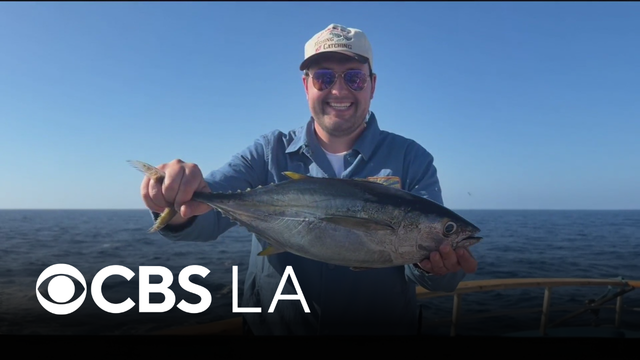 Sportfishing thrives as El Ni&ntilde;o brings warmer waters to Southern California
