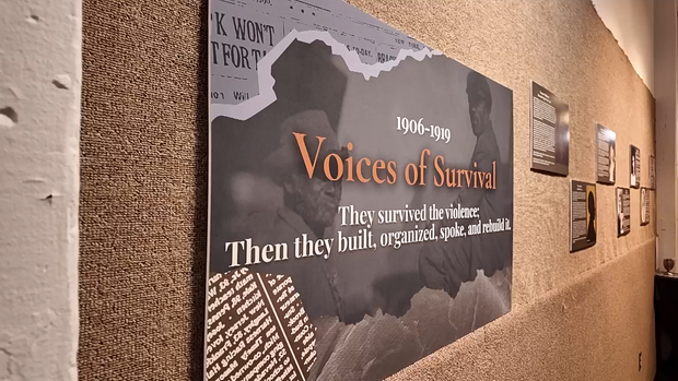 voice-of-survival.png