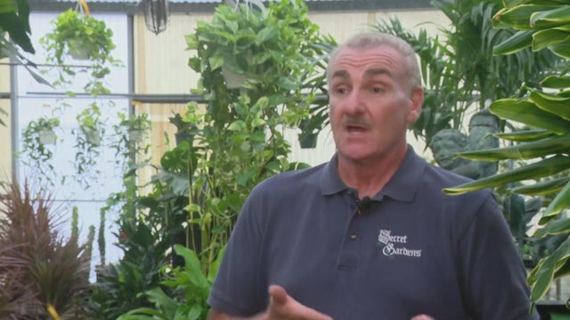 Experts urge North Texans to check landscaping after heavy rain