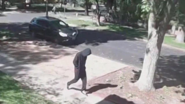 U.S. Postal Service searching for suspect who robbed mail carrier in Denver