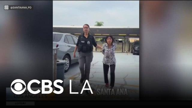 Orange County woman arrested for animal cruelty, allegedly killing her puppy