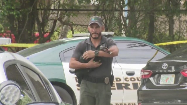 Several ducks found dead near Pompano Beach retention pond