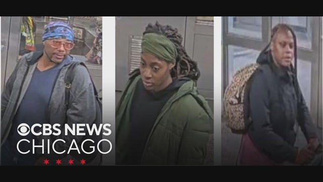 Woman followed onto CTA Red Line train, robbed, beaten by group, Chicago police say